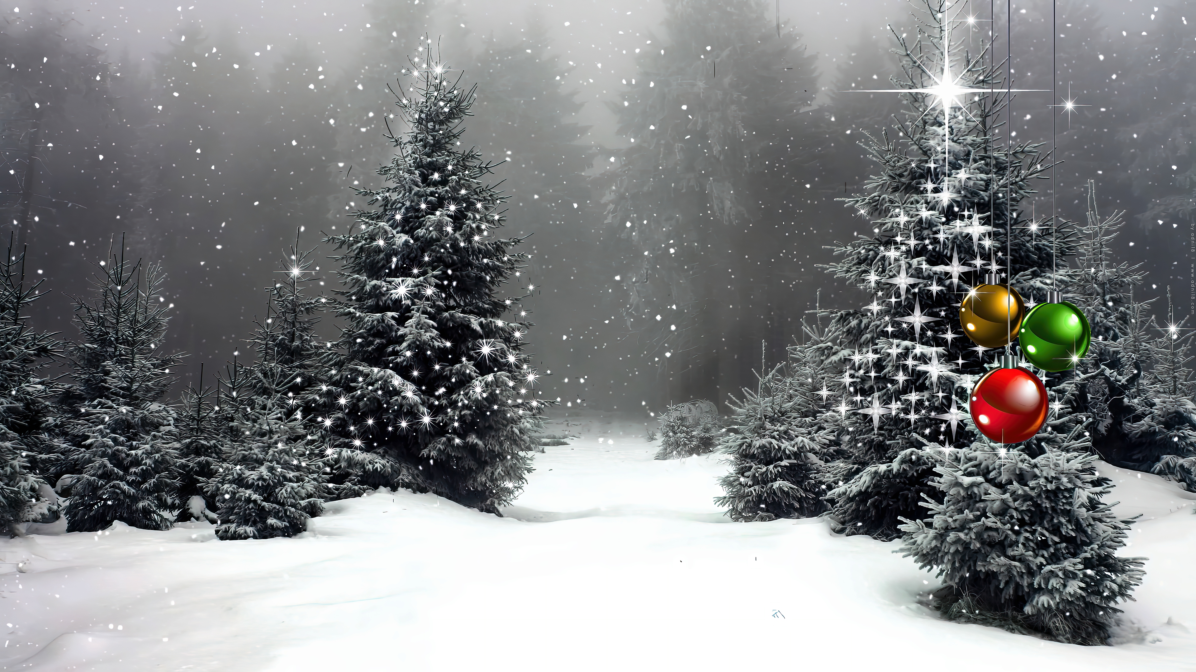 Christmas Forest  ( UHD )